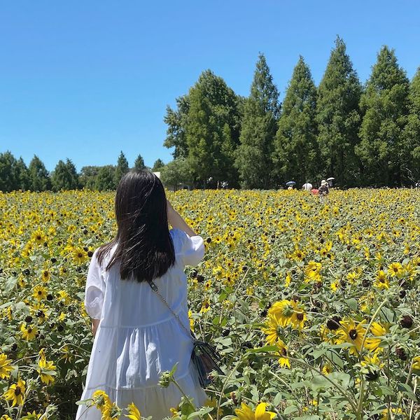 「2020夏は楽しめなかった」なんて言いたくないっ。夏が終わる前にしたい6つのことをご提案します♡