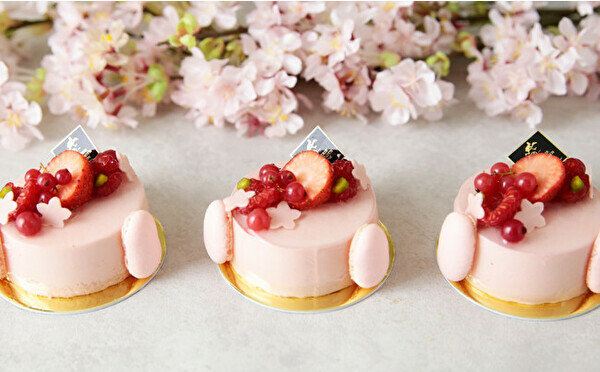 ほんのりピンクの春色ラインナップ。神戸のパティスリー「TOOTH TOOTH」に心が弾む桜ケーキがお目見え