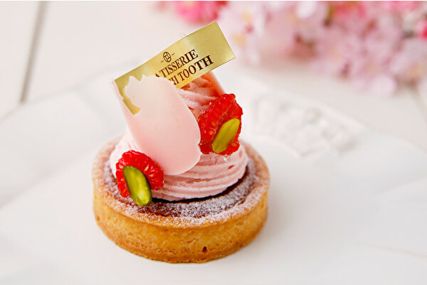 ほんのりピンクの春色ラインナップ。神戸のパティスリー「TOOTH TOOTH」に心が弾む桜ケーキがお目見え