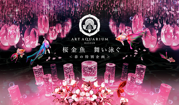 日本橋の「アートアクアリウム美術館」が期間限定で春一色に。特別企画『桜金魚 舞い泳ぐ』が開催されます