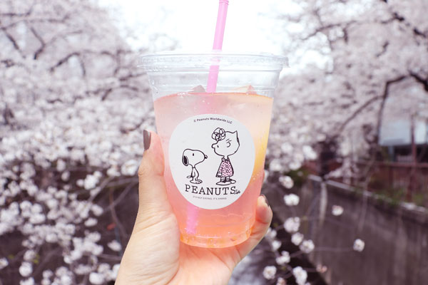 目黒川の桜並木と「PEANUTS Cafe」。春のペアリングでフォトジェニックの王道を楽しんで