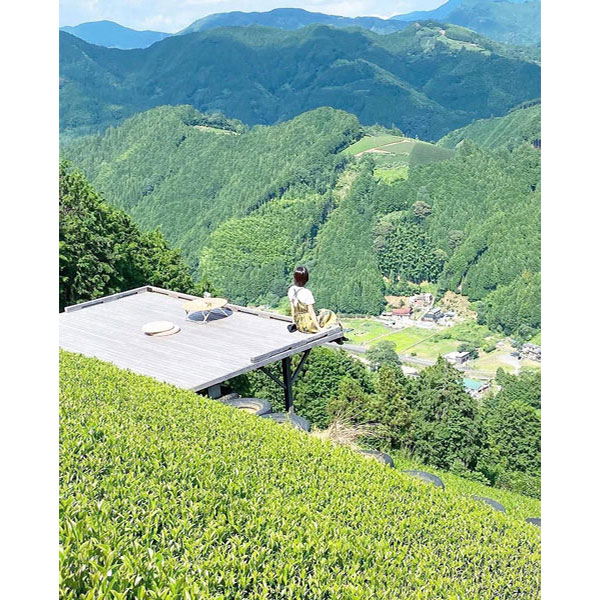 絶景ティーテラスでお茶しない？静岡県豊好園の「天空の茶の間」で唯一無二の贅沢な時間が過ごせそう