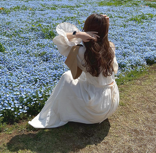 神奈川「長井海の手公園 ソレイユの丘」のネモフィラが咲く様子