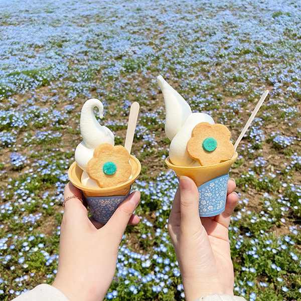 茨城「国営ひたち海浜公園」のネモフィラとソフトクリーム