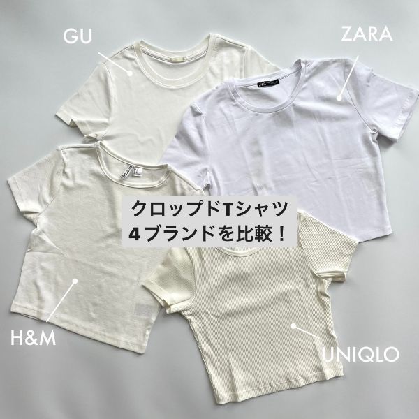 おすすめネット ZARA ザラ クロップドTシャツ Sサイズ centralbarkdogdaycare.com.au