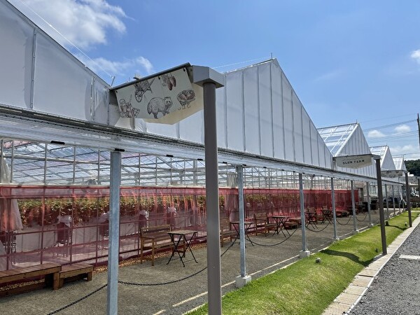 川崎市、いちご農園「Slow Farm」