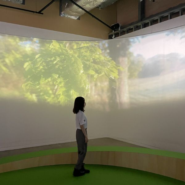 東京・立川のPLAY!MUSEAUMで開催中の「クマのプーさん」展には百町森の舞台となった、イングランド南部のアッシュダウンの森の映像が流れている