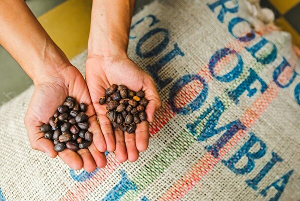 渋谷のRoasted COFFEE LABORATORYの新作、「コロンビア フィンカ ラ ルイサ オークバレルファーメンテーション ラテベース」に使われている、La Luisa農園のコーヒー豆