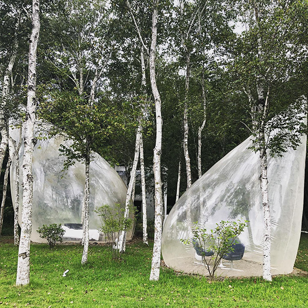山梨のアートスポット「清春芸術村」で見られる、「森の体験を切り取るテントDROP」