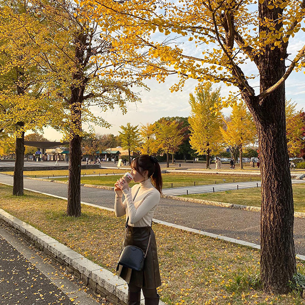 国営昭和記念公園のイチョウ並木