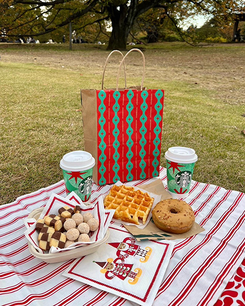 ピクニックシートを使ったクリスマスピクニック
