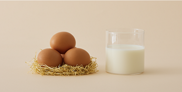 CHEESE WONDERで使われる放牧牛乳と平飼い卵