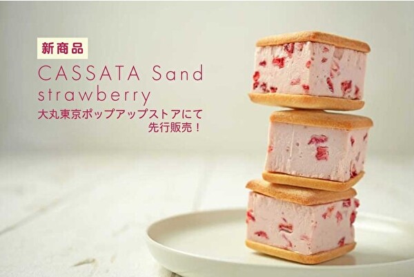 This is CASSATA.の新作「CASSATA Sand strawberry」