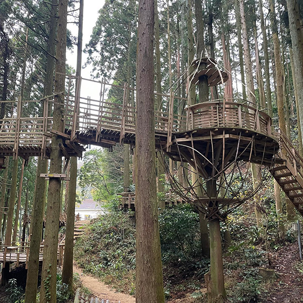 自然豊かな福岡・糸島にある森林「白糸の森」