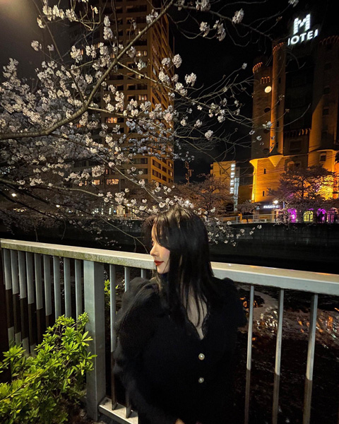 定番お花見スポット「目黒川」の夜桜
