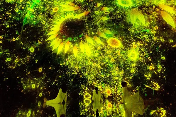 「チームラボプラネッツ TOKYO DMM」の「Floating in the Falling Universe of Flowers」夏限定作品