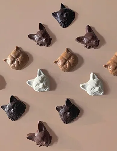 チョコレートブランド「Philly chocolate」の新作「Cat bon bon chocolat」