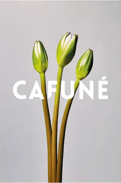 香港発のバッグブランド「CAFUNÉ（カフネ）」のイメージビジュアル
