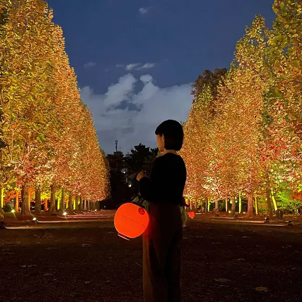 新宿御苑の“紅葉”がライトアップ！東京都心とは思えない…日本の秋を感じる特別な12日間がスタートするよ