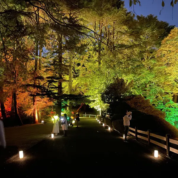 東京・新宿御苑で開催されている、「紅葉の新宿御苑2023」のアロマの香りがするスポット