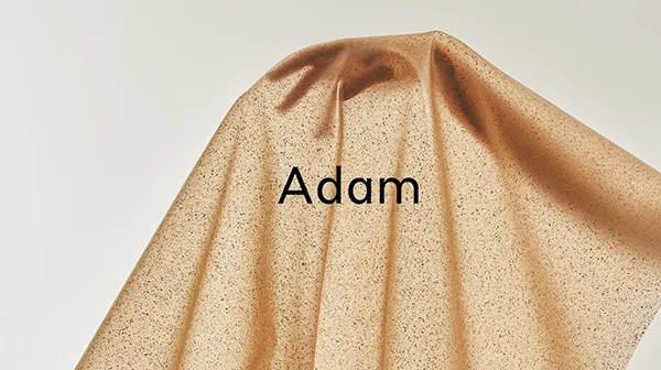 りんごの搾りかすを活用した素材『Adam』のビジュアル写真