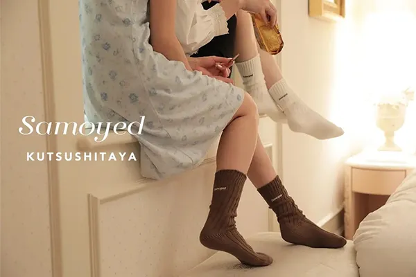 Samoyedと靴下屋のコラボアイテムのビジュアル写真