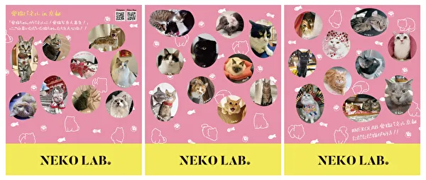 猫好きのためのコンセプトショップ「NEKO LAB」の京都高島屋ポップアップの展示パネルイメージ