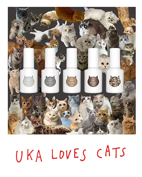 「uka cat study」イメージ画像