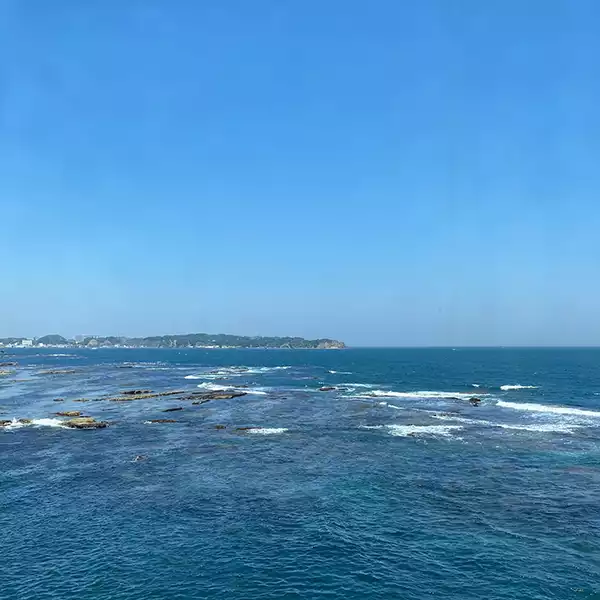 勝浦にある「かつうら海中公園海中展望塔」付近の海