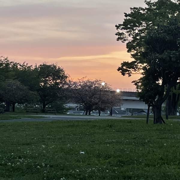 ネモフィラが美しい東京・足立区にある都営公園「舎人公園（とねりこうえん）」