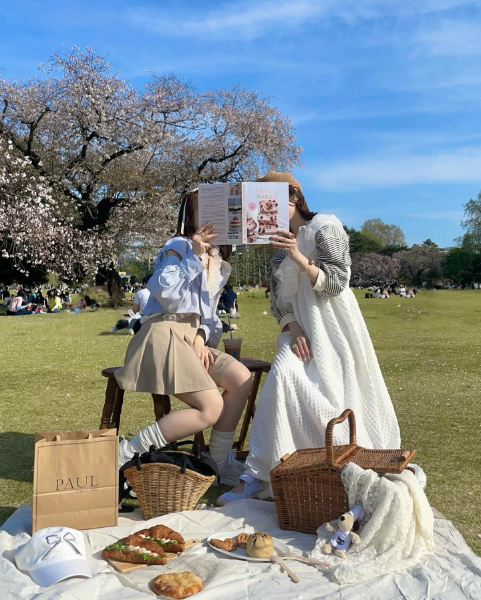 新宿御苑周辺でピクニックグッズをレンタルをするのに便利な「Picnic Rental Mimi」