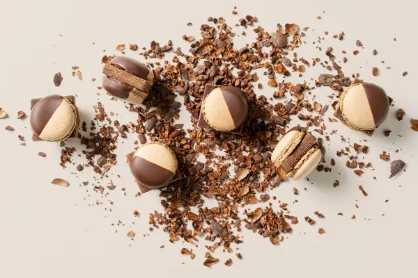 オンライン限定の生チョコマカロン専門店「MAMEIL NAMA CHOCOLATE MACARON」の定番フレーバー「チョコレート」
