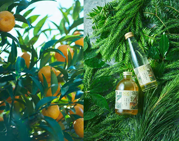 中川政七商店と日本草木研究所がコラボした“飲む、奈良の森林浴。”がコンセプトの「奈良の森のシロップ」と「奈良の森のサイダー」と原材料の大和橘