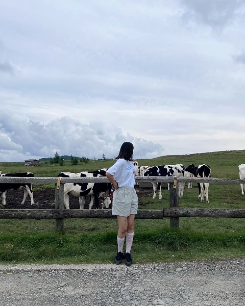 長野県松本市、上田市、長和町にまたがる美ヶ原高原の「美ヶ原牧場」にいる牛たちと女性