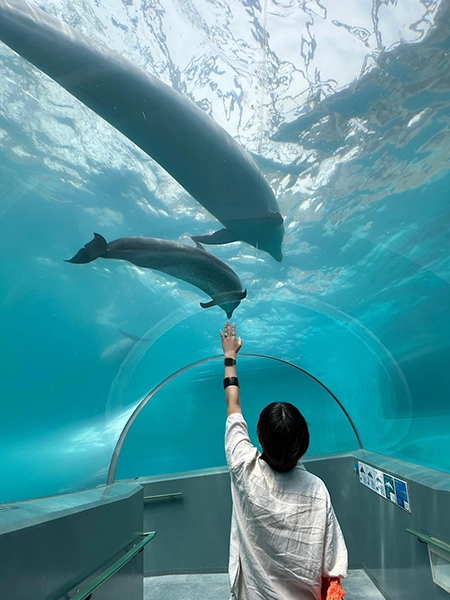 水族館