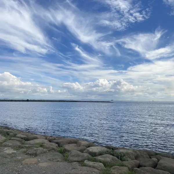 葛西臨海公園から見える東京湾