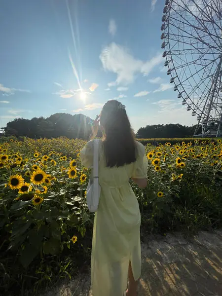 葛西臨海公園のひまわり畑と観覧車をバックに撮った写真