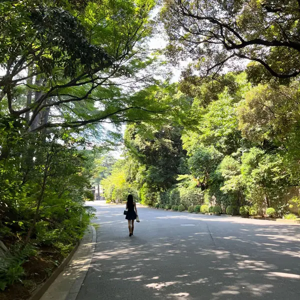 東京都庭園美術館の庭