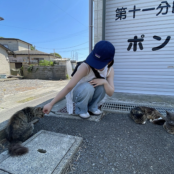 宮城・石巻にある「田代島」