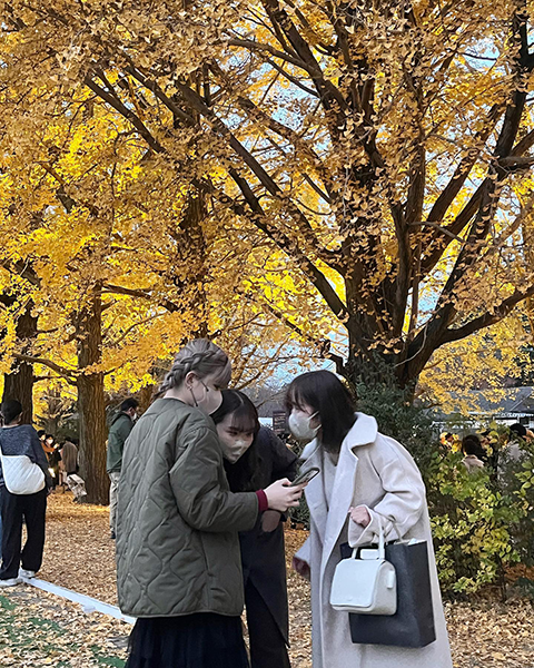 国営昭和記念公園は紅葉がみれるスポットとしてもおすすめ。