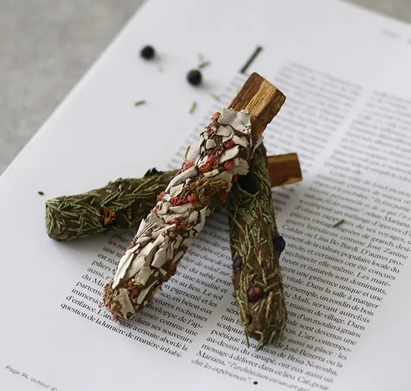 「G:Land」の「Positive Energy Palo Santo Pops 3 sticks -Heath」