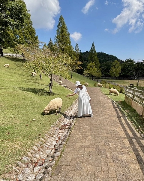 兵庫・神戸にある「六甲山牧場」