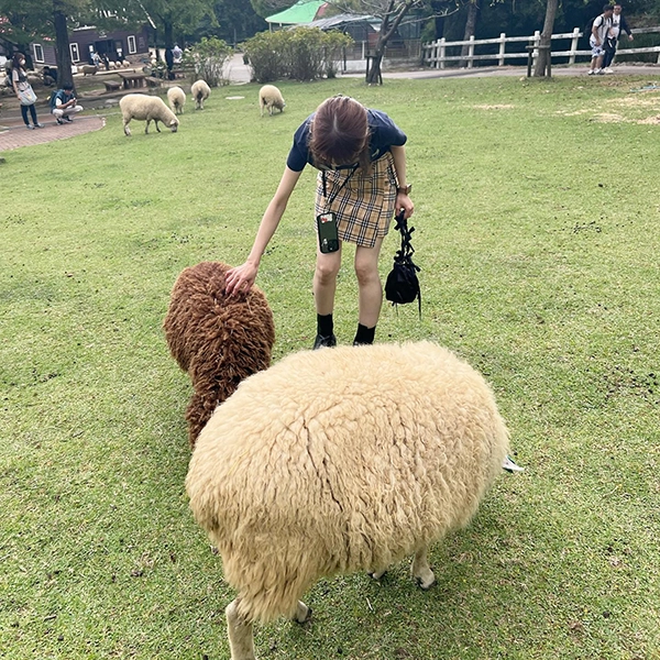 兵庫・神戸にある「六甲山牧場」