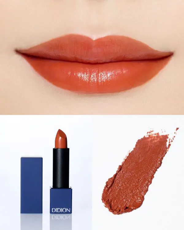 DIDION PLUMPING LIPSTICK S02 BELL