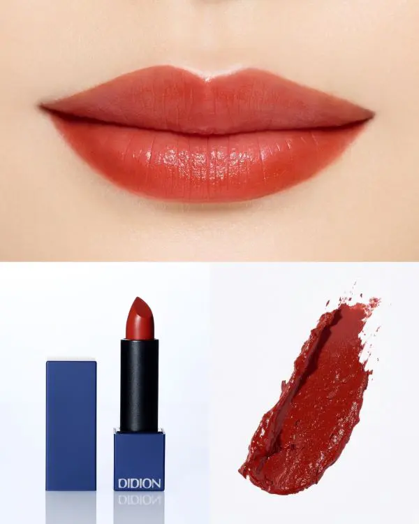 DIDION PLUMPING LIPSTICK S01 SAM