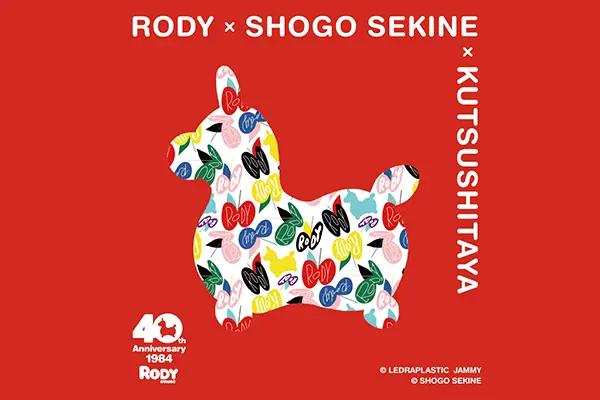 【画像】RODY×SHOGO SEKINE×靴下屋のトリプルコラボ靴下