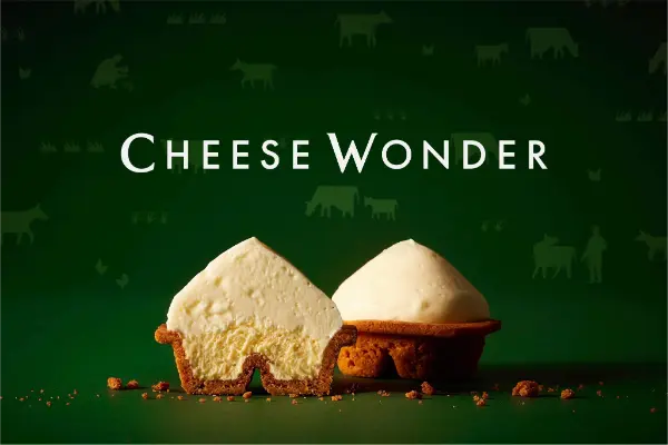 北海道発・新感覚のチーズケーキ「CHEESE WONDER（チーズワンダー）」の通常フレーバー