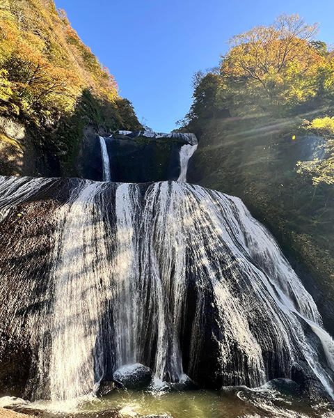 紅葉とも相性のいい、11月下旬の袋田の滝