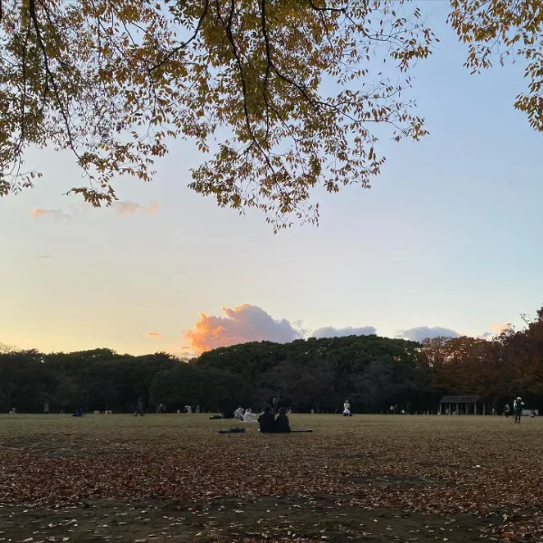 日本の公園