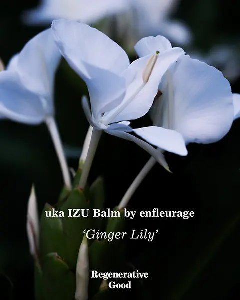 【画像】ukaのRegenerative Good IZUシリーズから発売されたuka IZU Balm by enfleurage 'Ginger Lily’